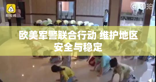 欧美军警联合行动 维护地区安全与稳定