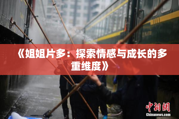 《姐姐片多：探索情感与成长的多重维度》
