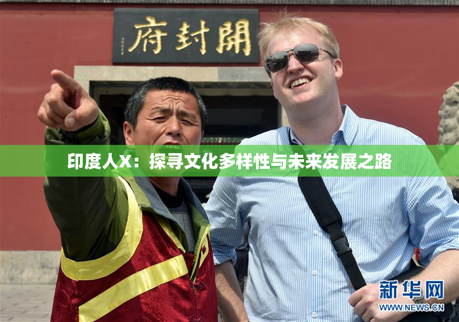 印度人X：探寻文化多样性与未来发展之路