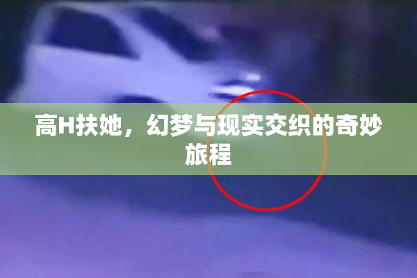 高H扶她，幻梦与现实交织的奇妙旅程