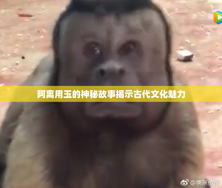 阿离用玉的神秘故事揭示古代文化魅力