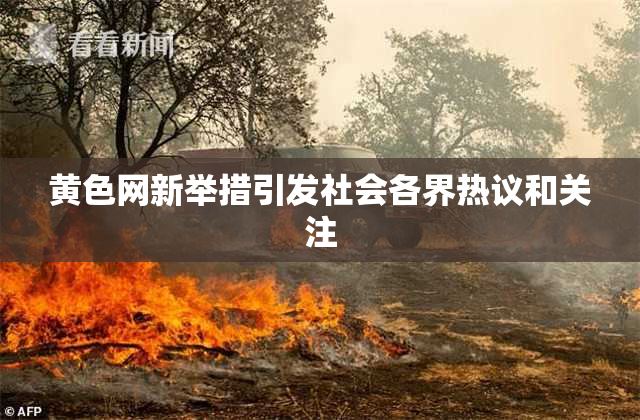 黄色网新举措引发社会各界热议和关注