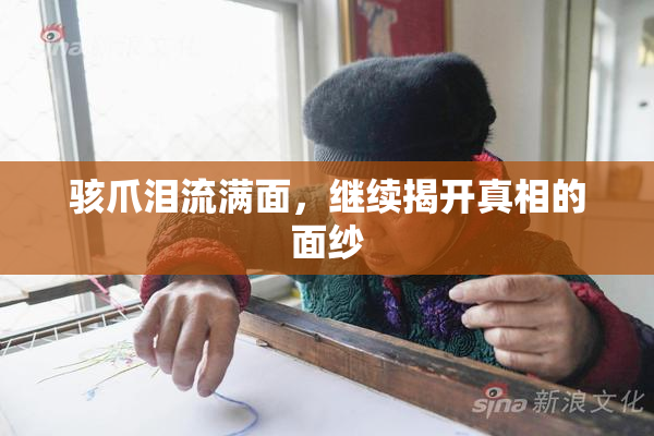 骇爪泪流满面，继续揭开真相的面纱