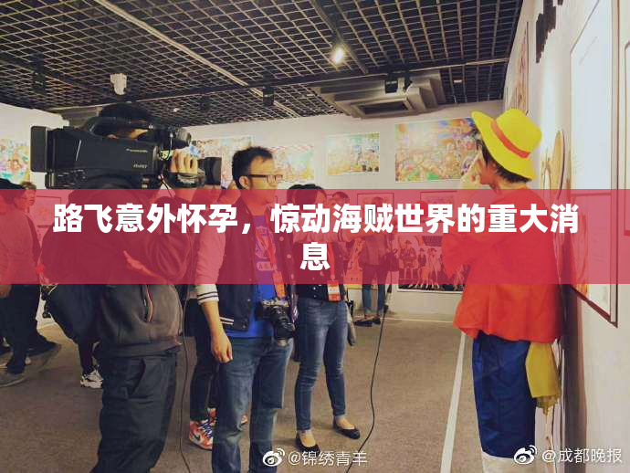路飞意外怀孕，惊动海贼世界的重大消息