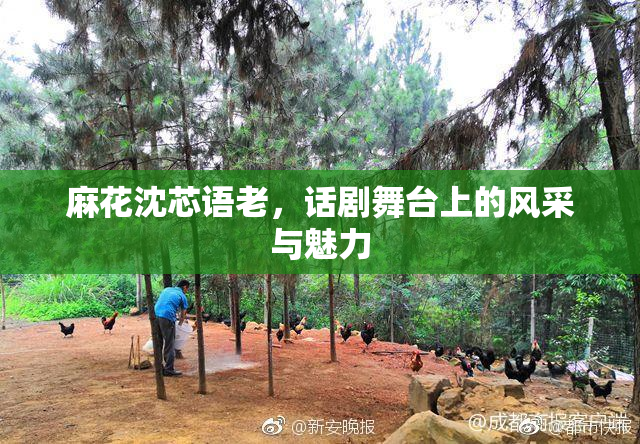 麻花沈芯语老，话剧舞台上的风采与魅力