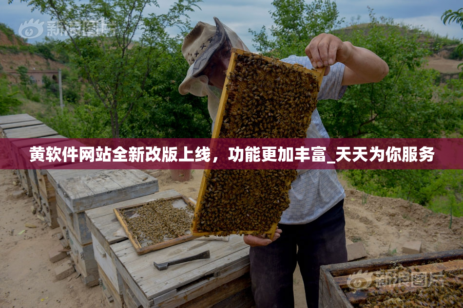 黄软件网站全新改版上线，功能更加丰富_天天为你服务
