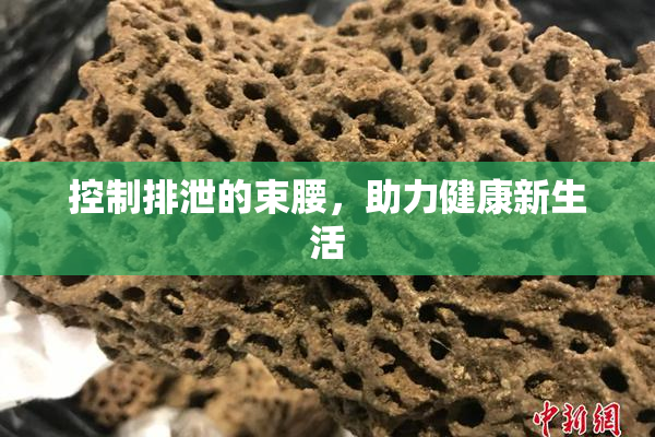 控制排泄的束腰，助力健康新生活