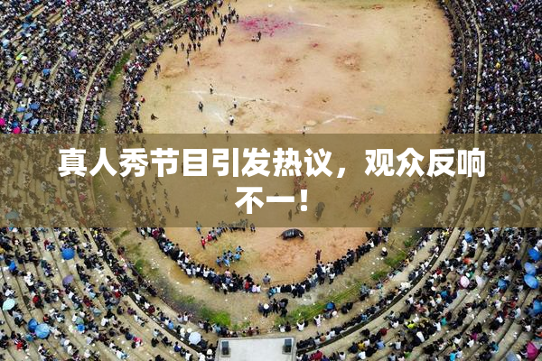 真人秀节目引发热议，观众反响不一！