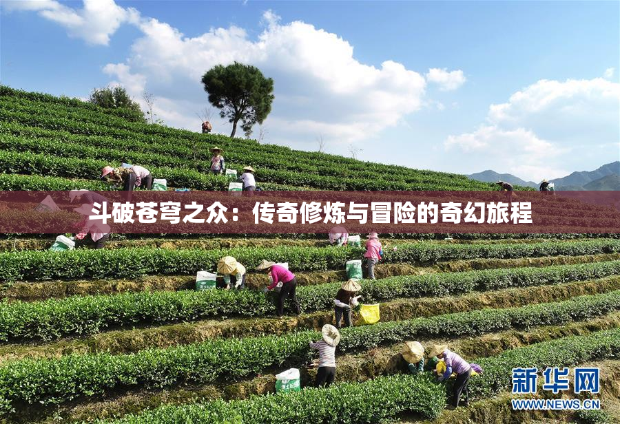 斗破苍穹之众：传奇修炼与冒险的奇幻旅程