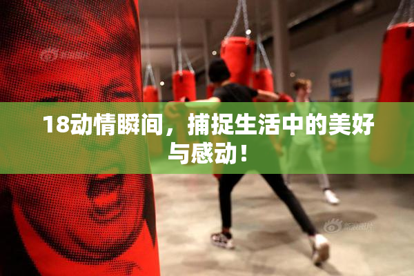 18动情瞬间，捕捉生活中的美好与感动！