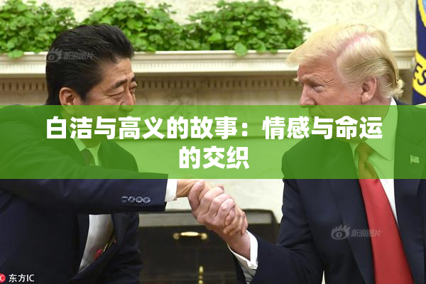 白洁与高义的故事：情感与命运的交织