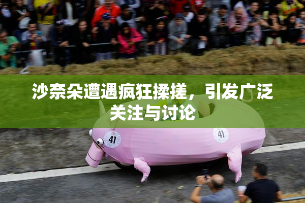 沙奈朵遭遇疯狂揉搓，引发广泛关注与讨论