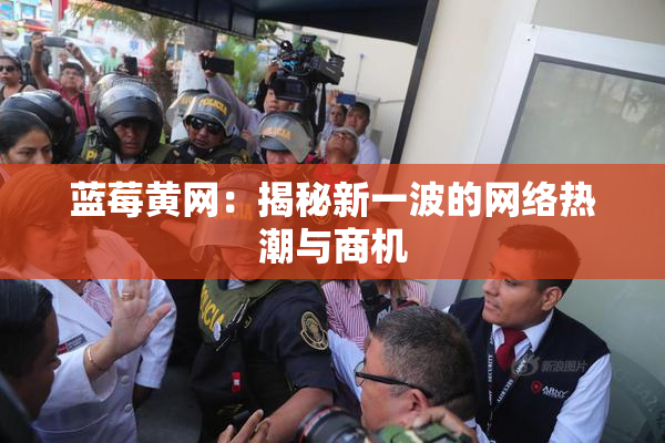 蓝莓黄网：揭秘新一波的网络热潮与商机