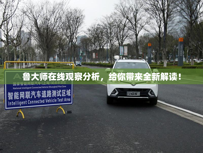 鲁大师在线观察分析，给你带来全新解读！