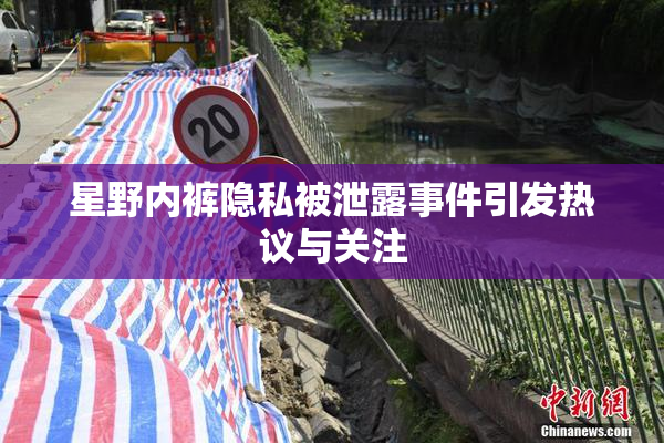 星野内裤隐私被泄露事件引发热议与关注