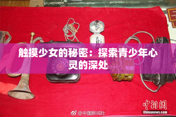 触摸少女的秘密：探索青少年心灵的深处