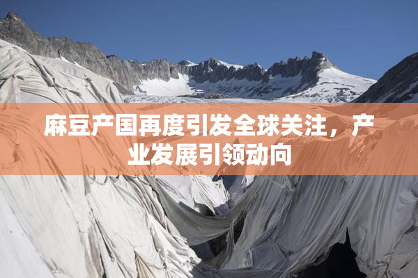 麻豆产国再度引发全球关注，产业发展引领动向