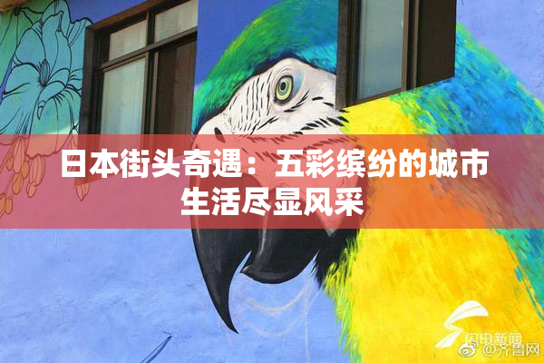 日本街头奇遇：五彩缤纷的城市生活尽显风采