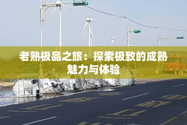 老熟极品之旅：探索极致的成熟魅力与体验