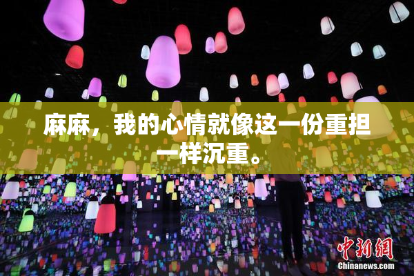 麻麻，我的心情就像这一份重担一样沉重。