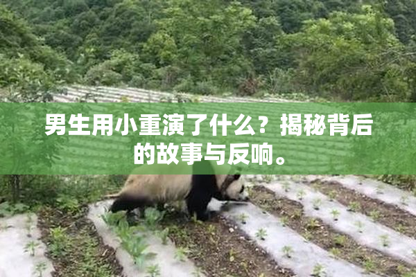 男生用小重演了什么？揭秘背后的故事与反响。
