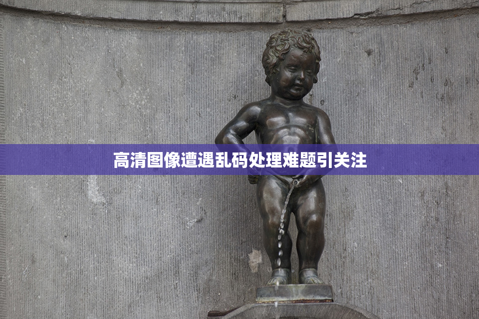 高清图像遭遇乱码处理难题引关注