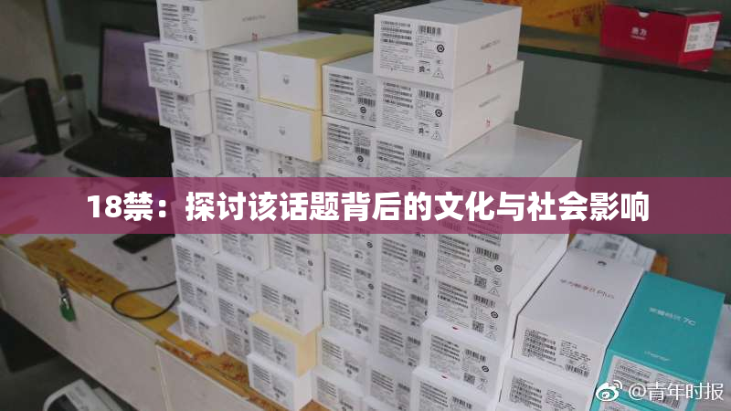 18禁：探讨该话题背后的文化与社会影响