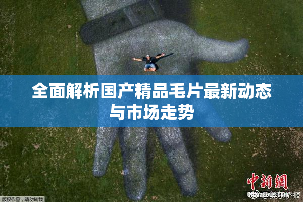 全面解析国产精品毛片最新动态与市场走势