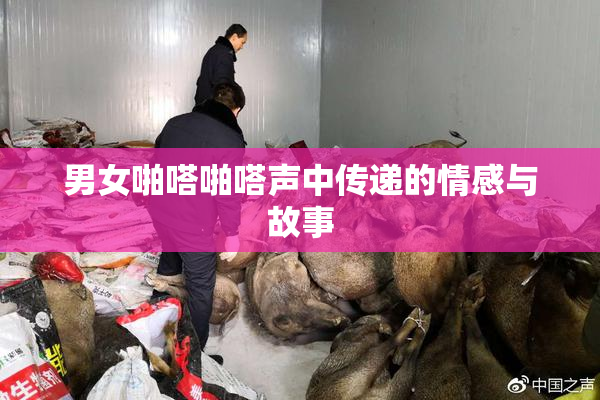 男女啪嗒啪嗒声中传递的情感与故事