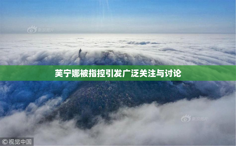 芙宁娜被指控引发广泛关注与讨论