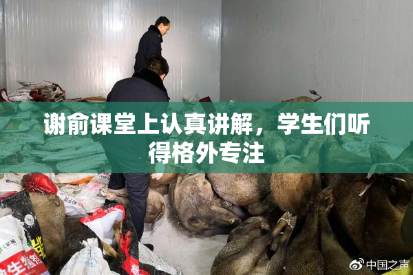 谢俞课堂上认真讲解，学生们听得格外专注