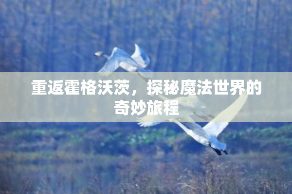 重返霍格沃茨，探秘魔法世界的奇妙旅程