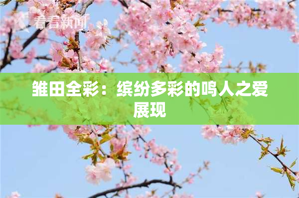 雏田全彩：缤纷多彩的鸣人之爱展现
