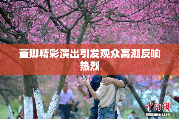 董卿精彩演出引发观众高潮反响热烈