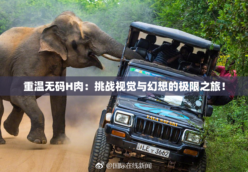 重温无码H肉：挑战视觉与幻想的极限之旅！