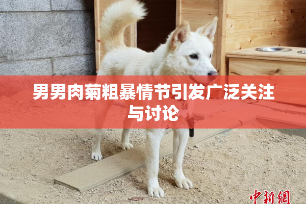 男男肉菊粗暴情节引发广泛关注与讨论
