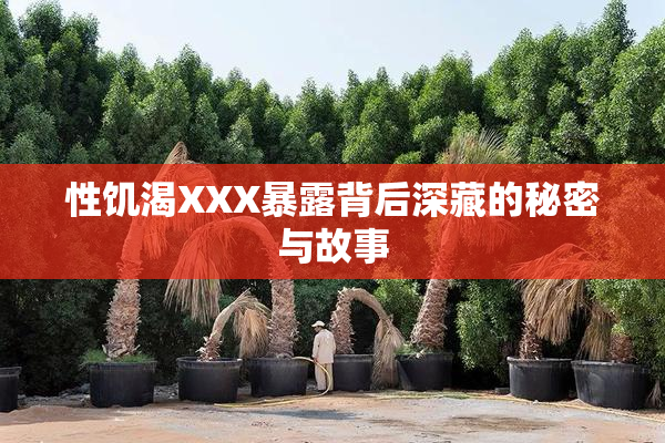 性饥渴XXX暴露背后深藏的秘密与故事
