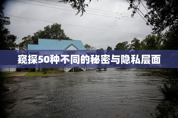 窥探50种不同的秘密与隐私层面