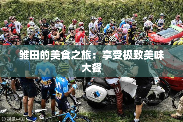 雏田的美食之旅：享受极致美味大餐