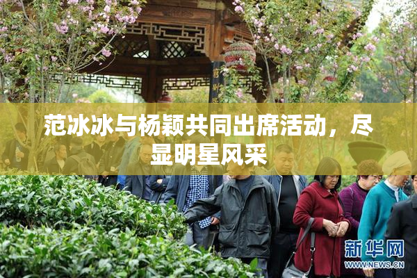 范冰冰与杨颖共同出席活动，尽显明星风采