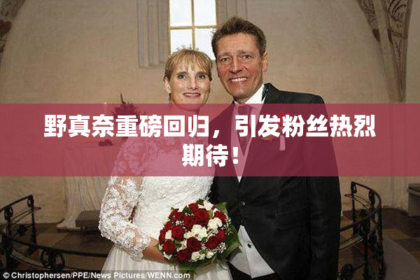 野真奈重磅回归，引发粉丝热烈期待！