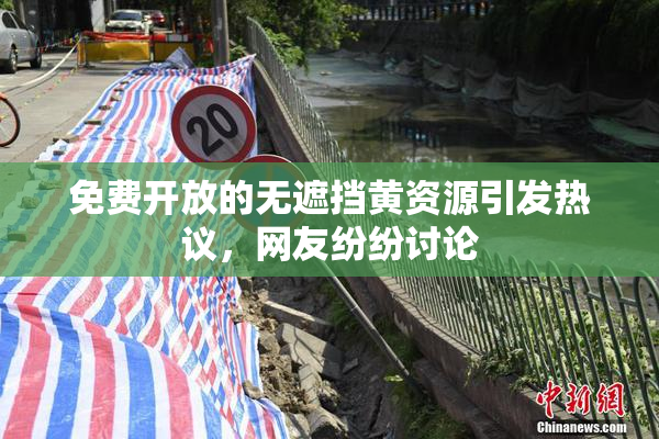 免费开放的无遮挡黄资源引发热议，网友纷纷讨论