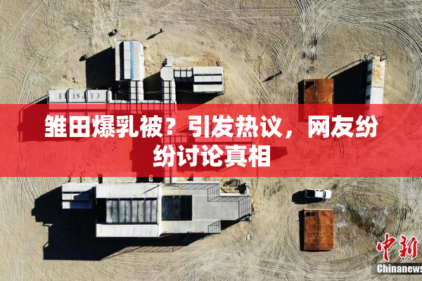 雏田爆乳被？引发热议，网友纷纷讨论真相