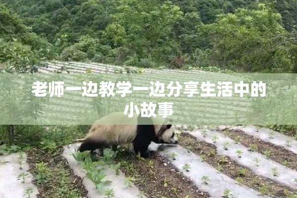 老师一边教学一边分享生活中的小故事
