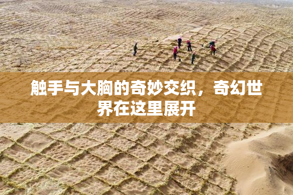 触手与大胸的奇妙交织，奇幻世界在这里展开