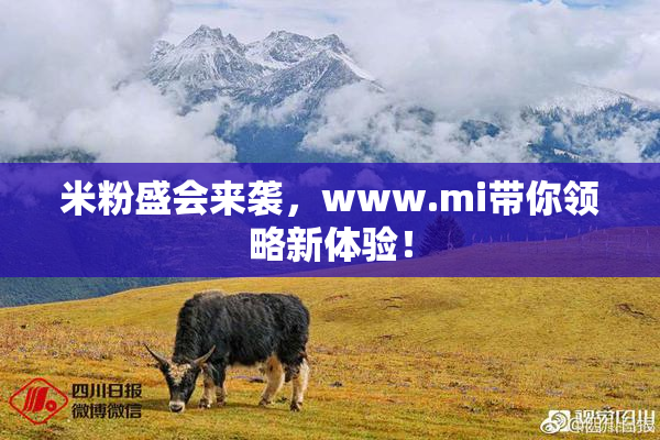 米粉盛会来袭，www.mi带你领略新体验！