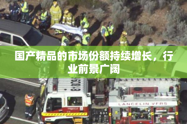 国产精品的市场份额持续增长，行业前景广阔