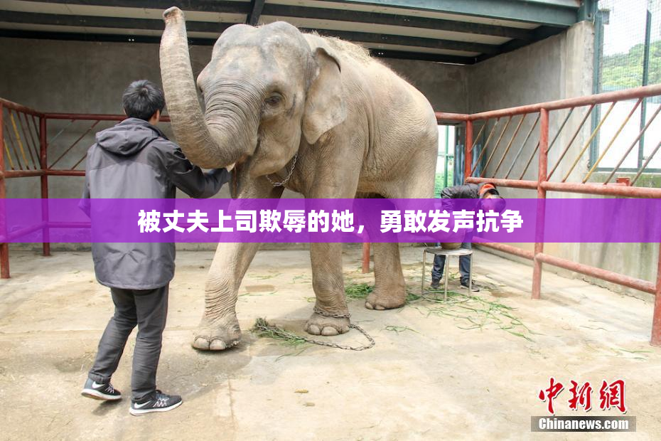 被丈夫上司欺辱的她，勇敢发声抗争