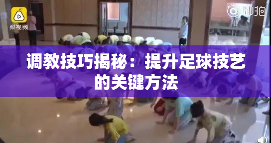 调教技巧揭秘：提升足球技艺的关键方法