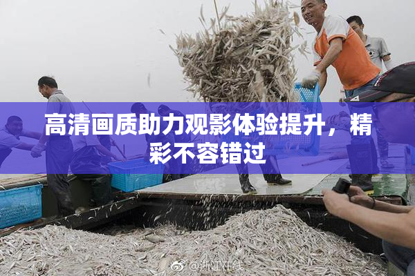 高清画质助力观影体验提升，精彩不容错过